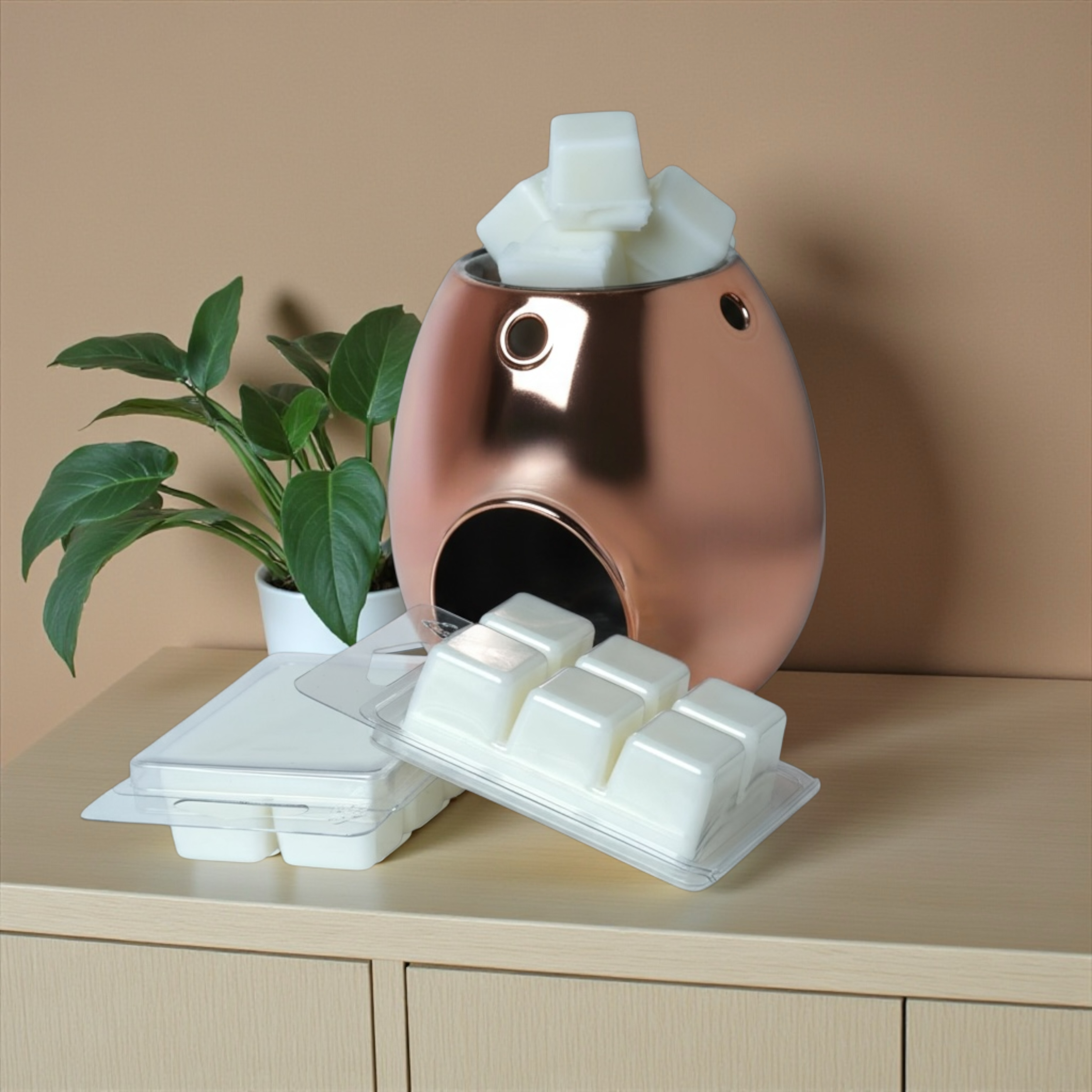 Wax Melts & Melt Burners